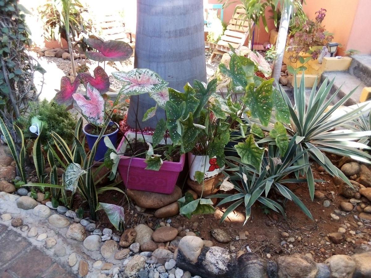 Casa Gio Villa Puerto Escondido  Luaran gambar