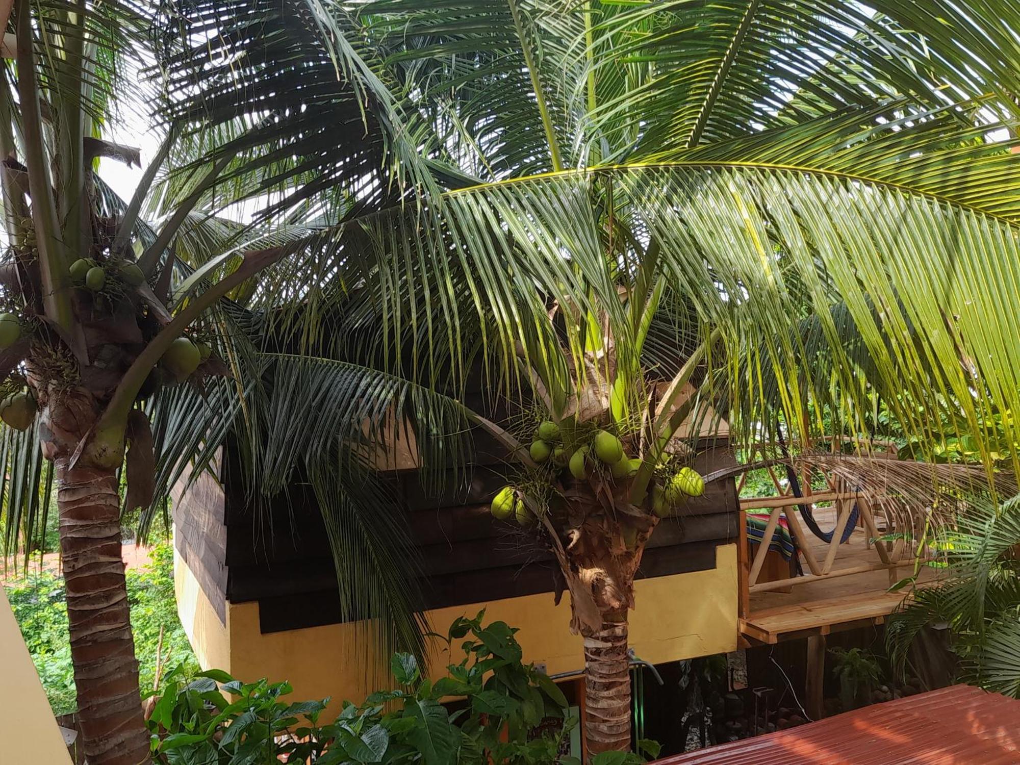 Casa Gio Villa Puerto Escondido  Luaran gambar